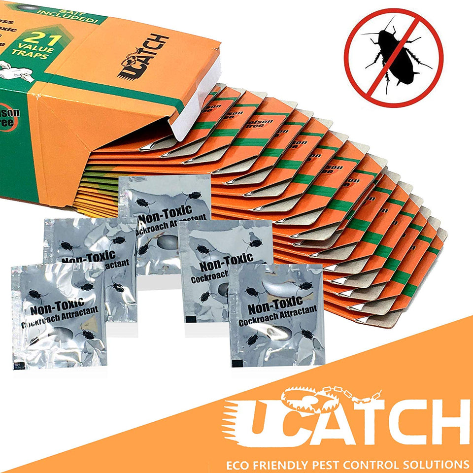 Ucatch ™XRoach Cockroach Glue Trap (Bait included) 21 traps - ucatchstore