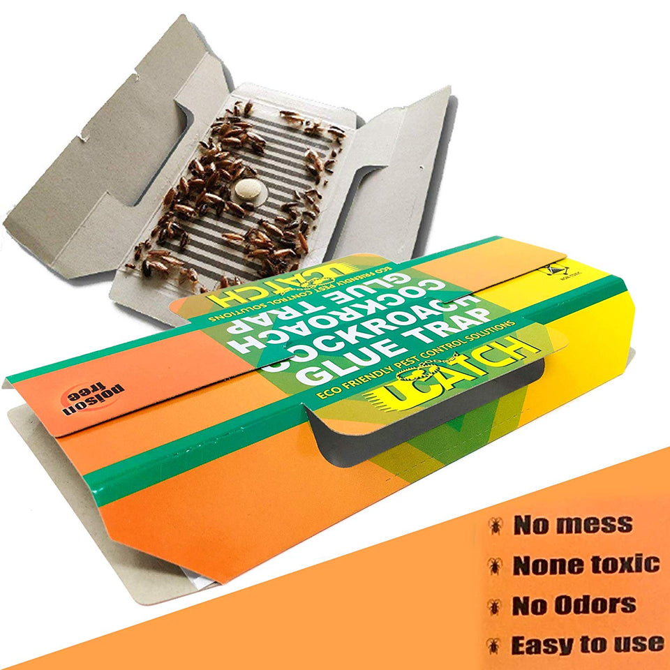 Ucatch ™XRoach Cockroach Glue Trap (Bait included) 21 traps - ucatchstore