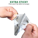 UCatch transparent Window Fly Traps (4 Traps) - ucatchstore