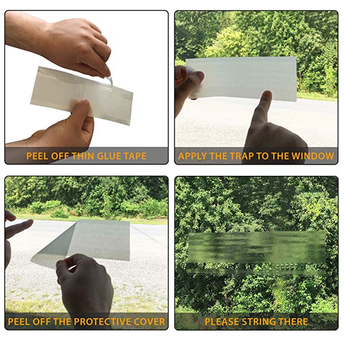 UCatch transparent Window Fly Traps (4 Traps) - ucatchstore