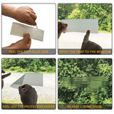 UCatch transparent Window Fly Traps (4 Traps) - ucatchstore