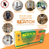 Ucatch ™XRoach Cockroach Glue Trap (Bait included) 12 traps - ucatchstore
