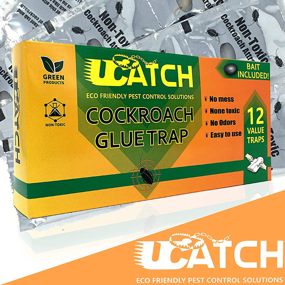 Photo of 21 cockroach traps	